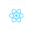 app development expert